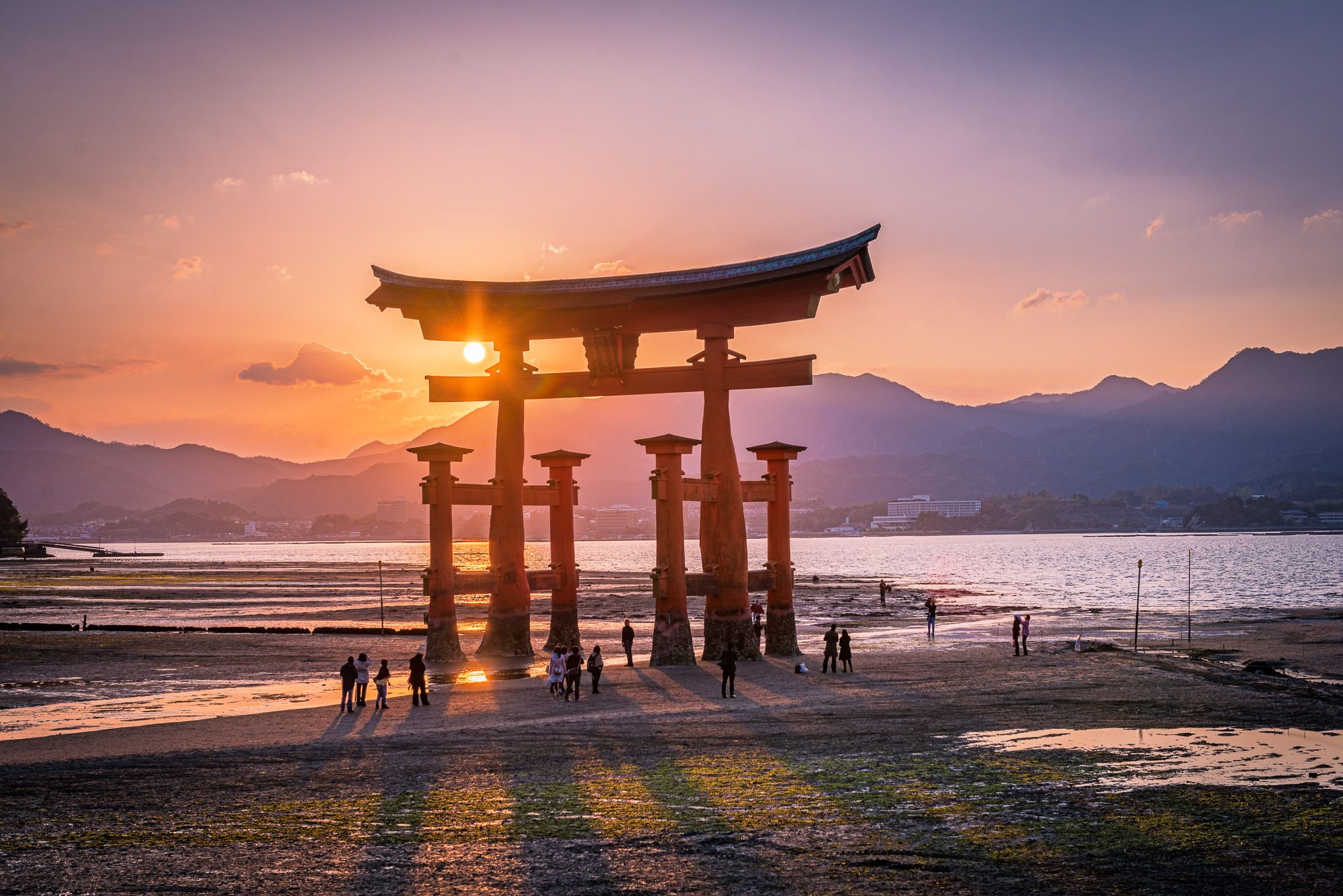 Miyajima Tori Shrine, Japan