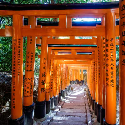 Kasuga Taisha, Shinto Shrine, Torii alley, Japan