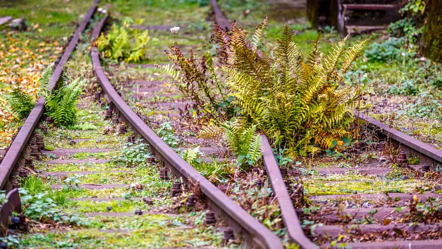 nature park Duisburg Nord