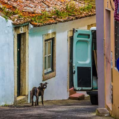 Lisbon Alfama, Portugal