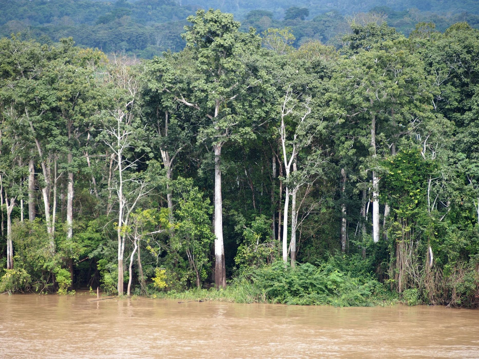 Meeting of Waters, Brazil