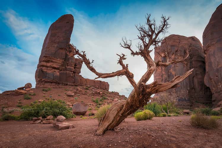 Monument Valley (The Valley Road)