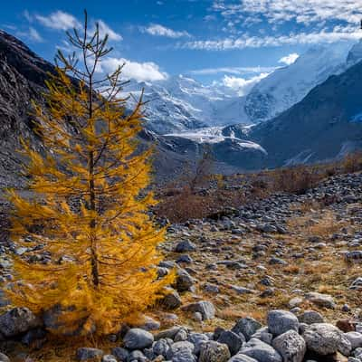 Morteratsch valley, Engadin, Switzerland