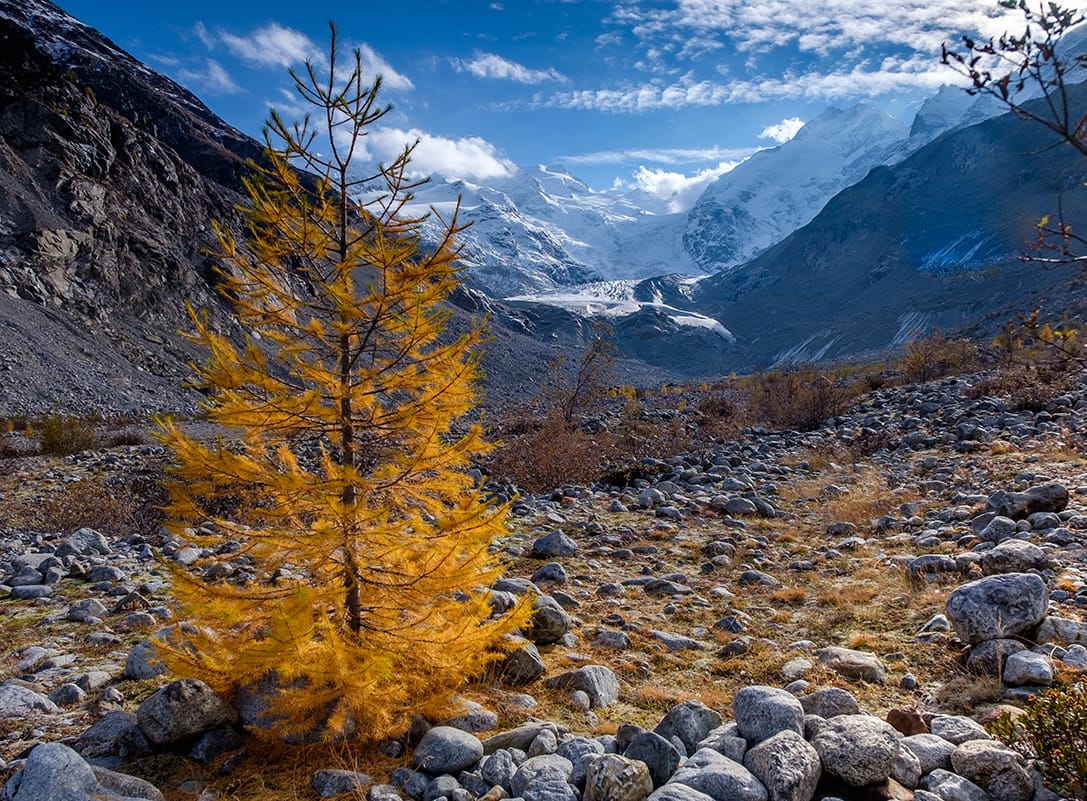 Morteratsch valley, Engadin, Switzerland