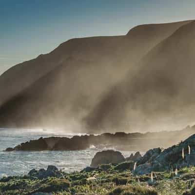 Near Mangatoetoe, North Island, New Zealand