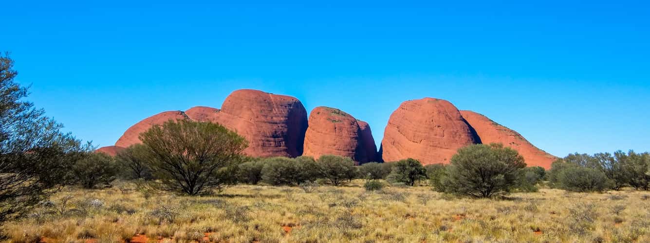 Olgas