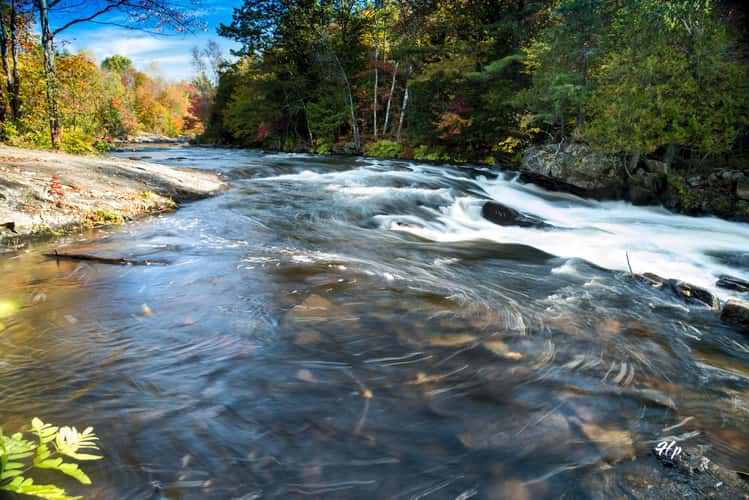 Oxtongue Rapids Trail