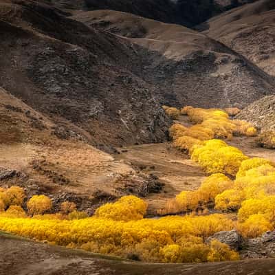 Roadside stop in Otago, New Zealand