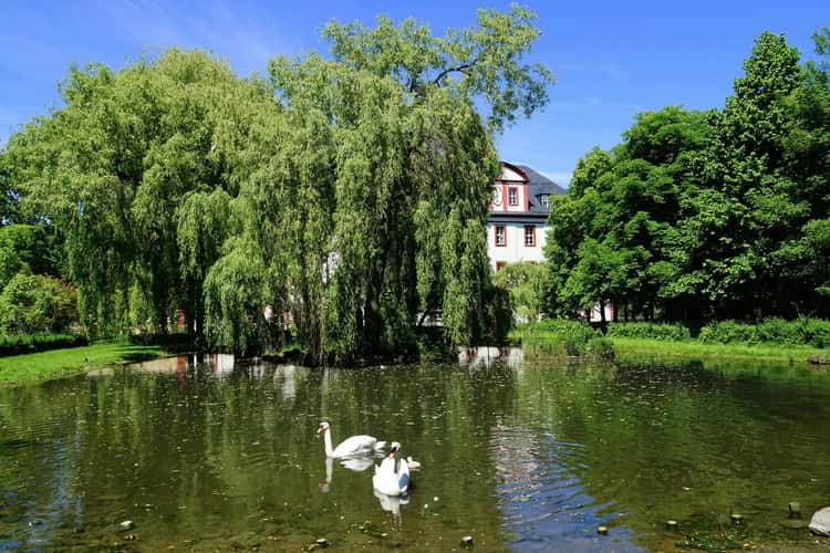 Schloss Saalfeld