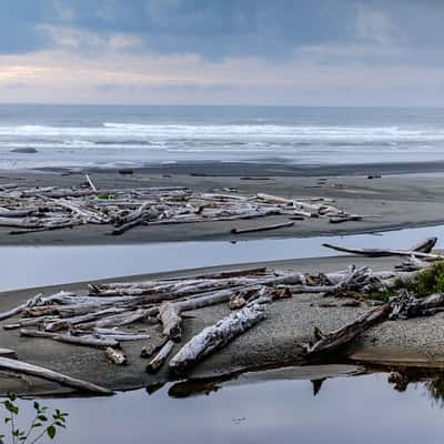 Sea shore, Olympic Nation Park, Washington, USA