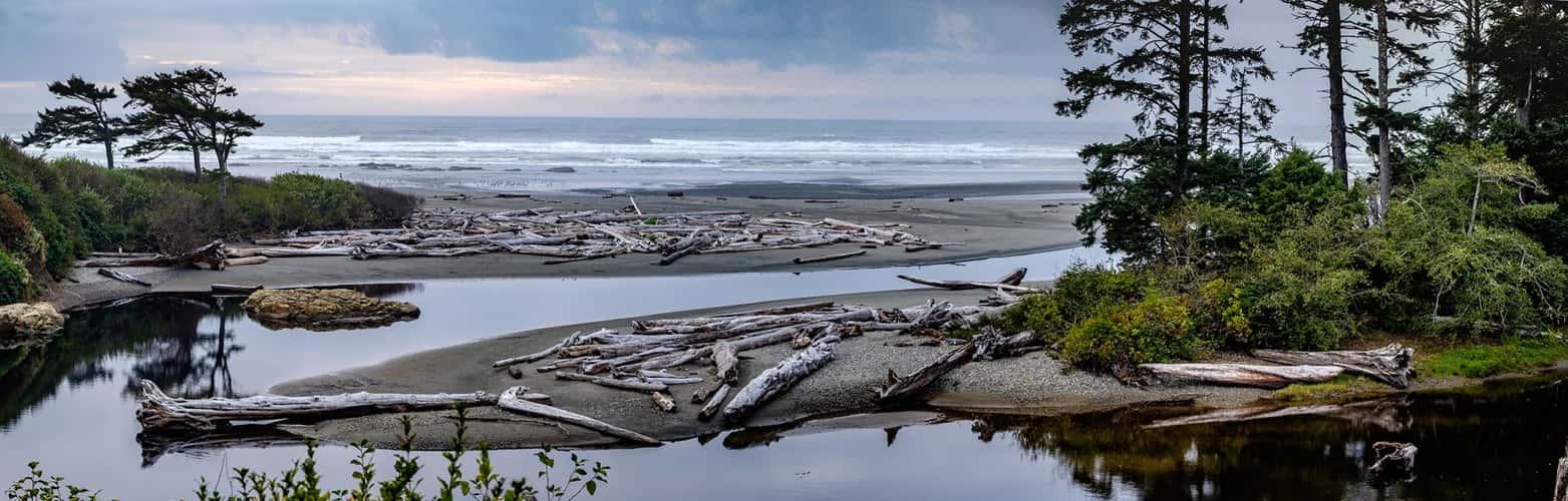 Sea shore, Olympic Nation Park, Washington
