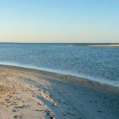 Shark Bay, Monkey Mia, Australia