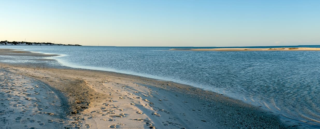 Shark Bay, Monkey Mia