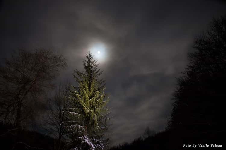 Spooky night