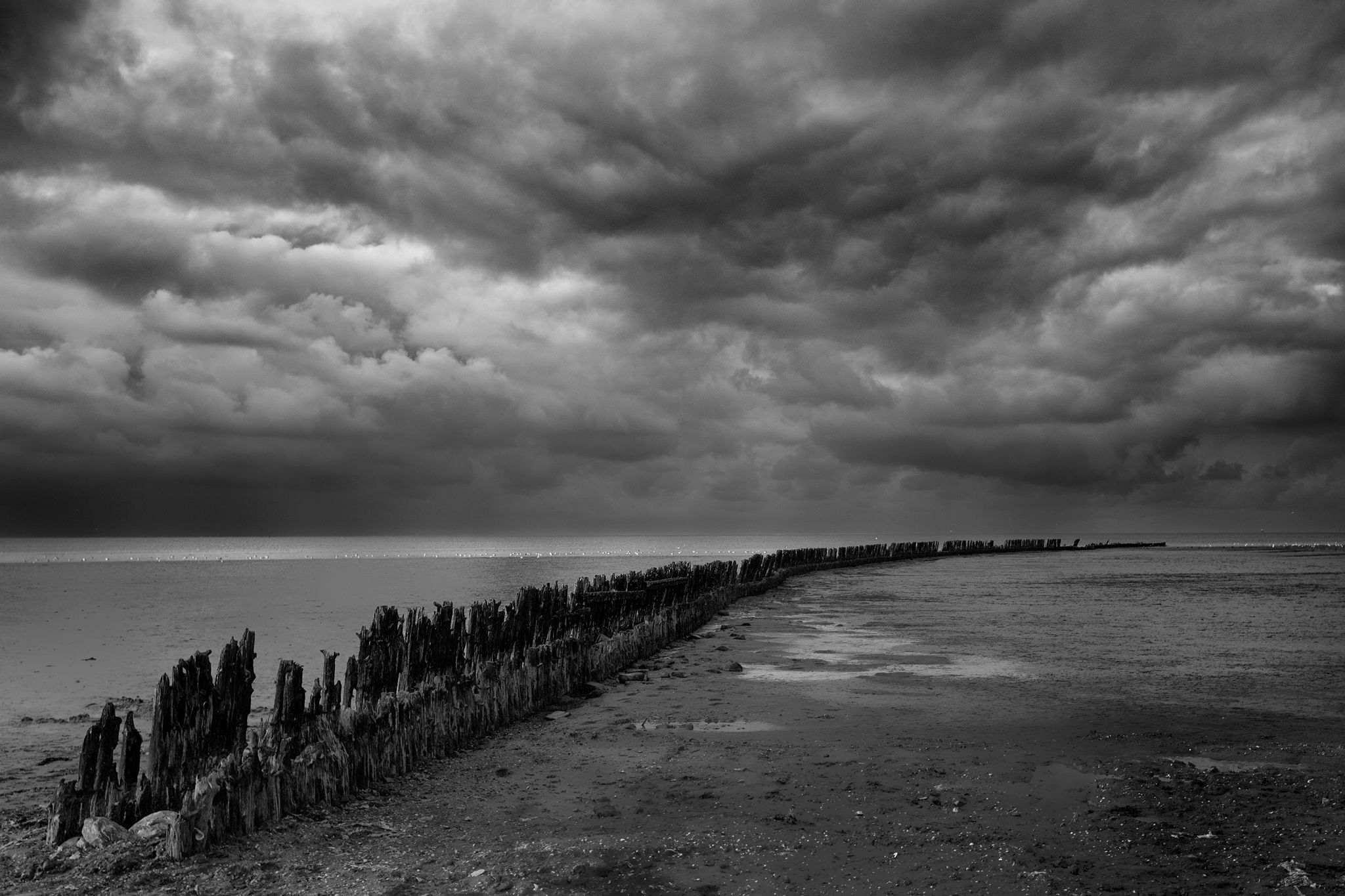 Storm coming!, Netherlands