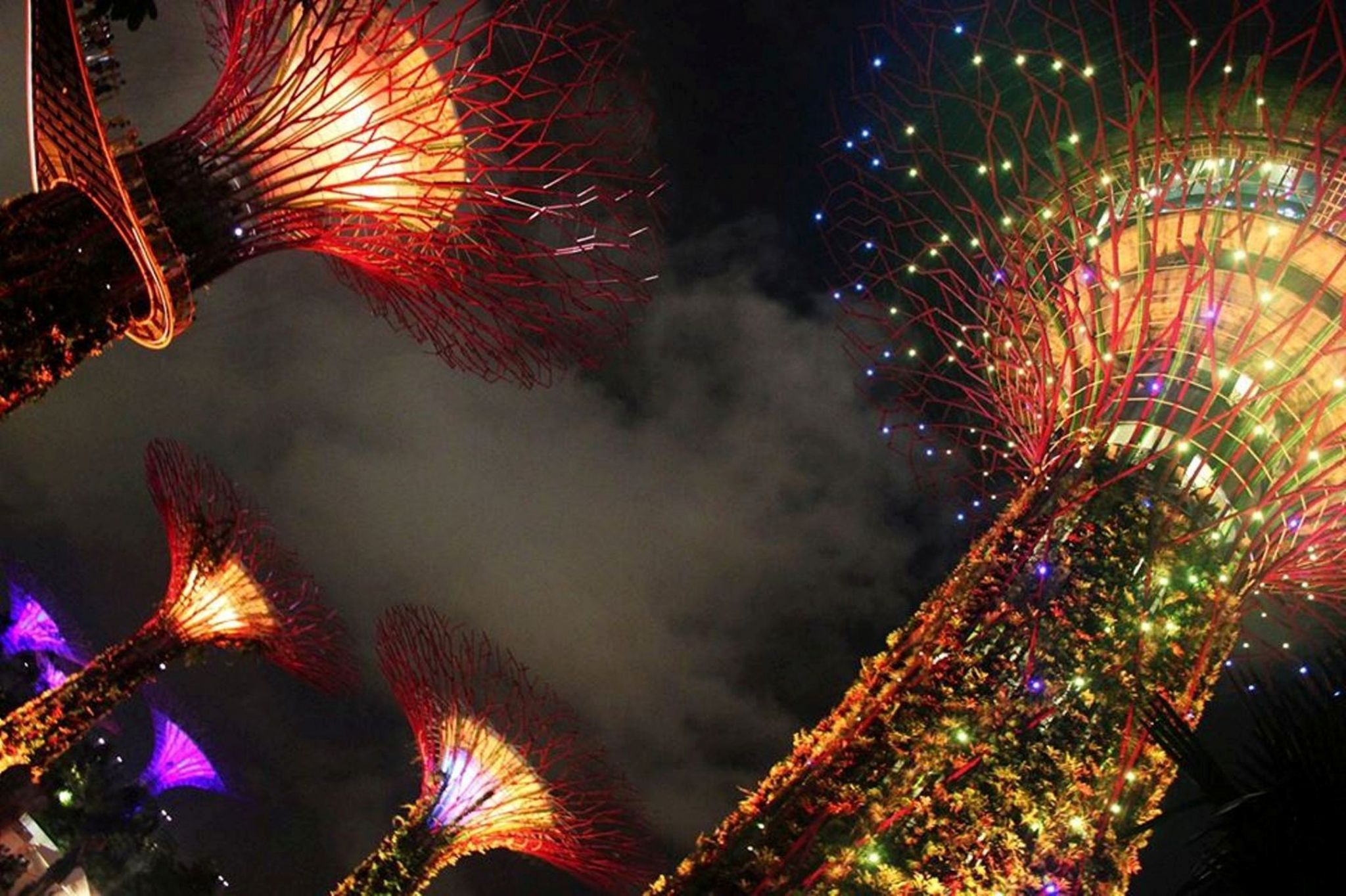 Supertree Grove, Gardens by the bay, Singapore