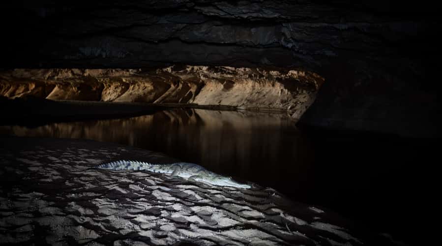 Tunnel Creek