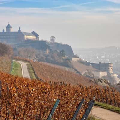 Vineyard and Festung Marienberg, Germany