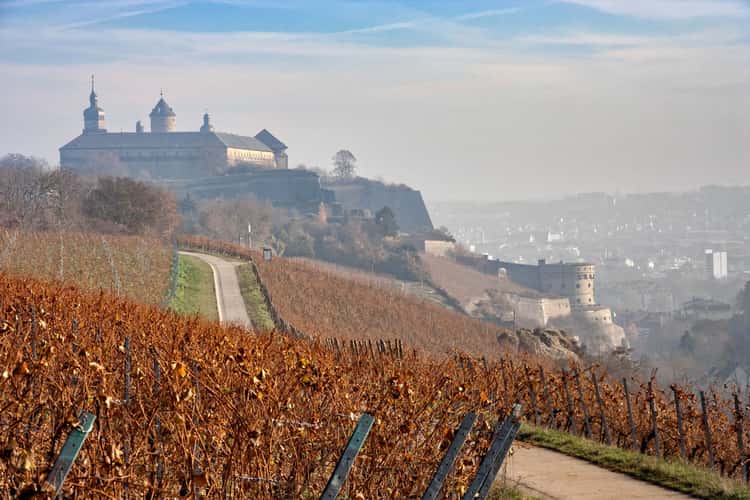 Vineyard and Festung Marienberg