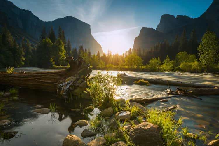 Yosemite National Park