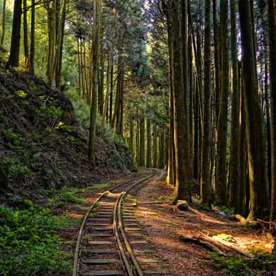 Alishan Forbidden Path, Taiwan