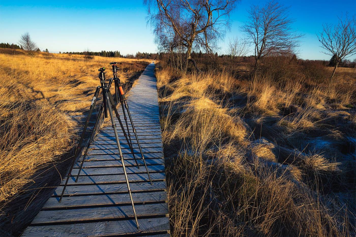 Carbon Fiber vs Aluminium Tripod - which one is better for you?