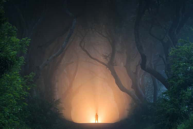 The Dark Hedges (Road)