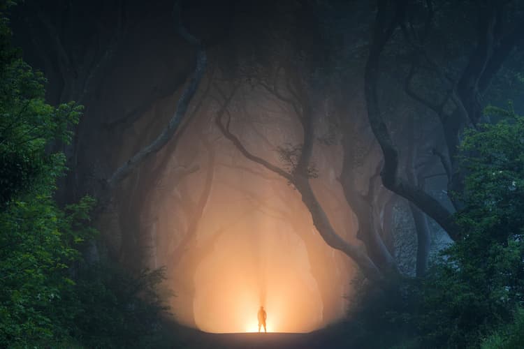 Dark Hedges