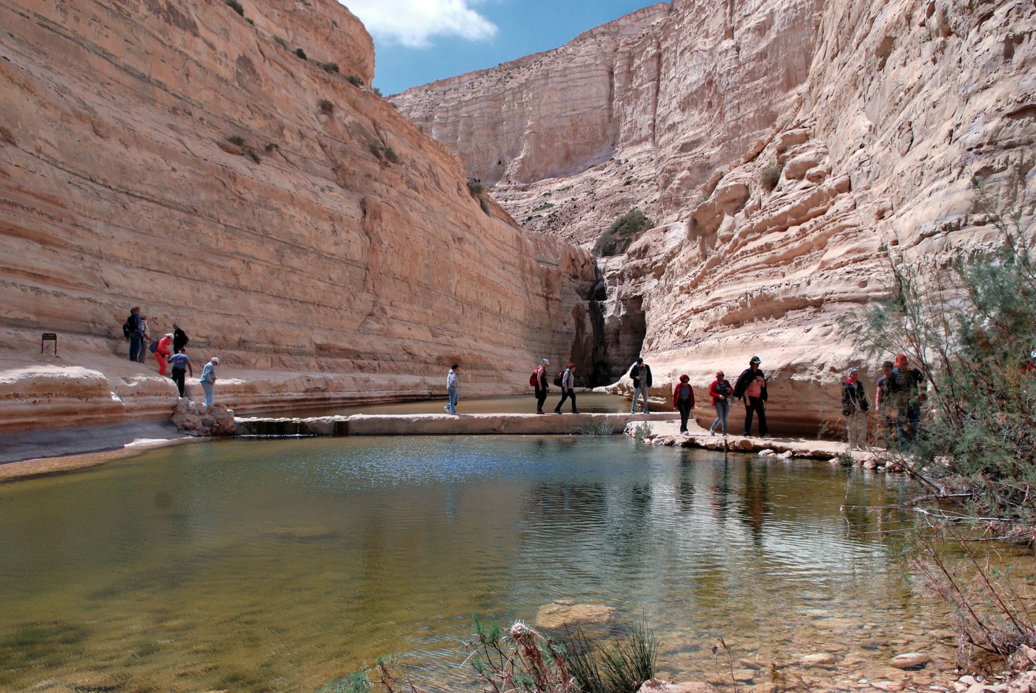 Ein Avdat Canyon, Israel
