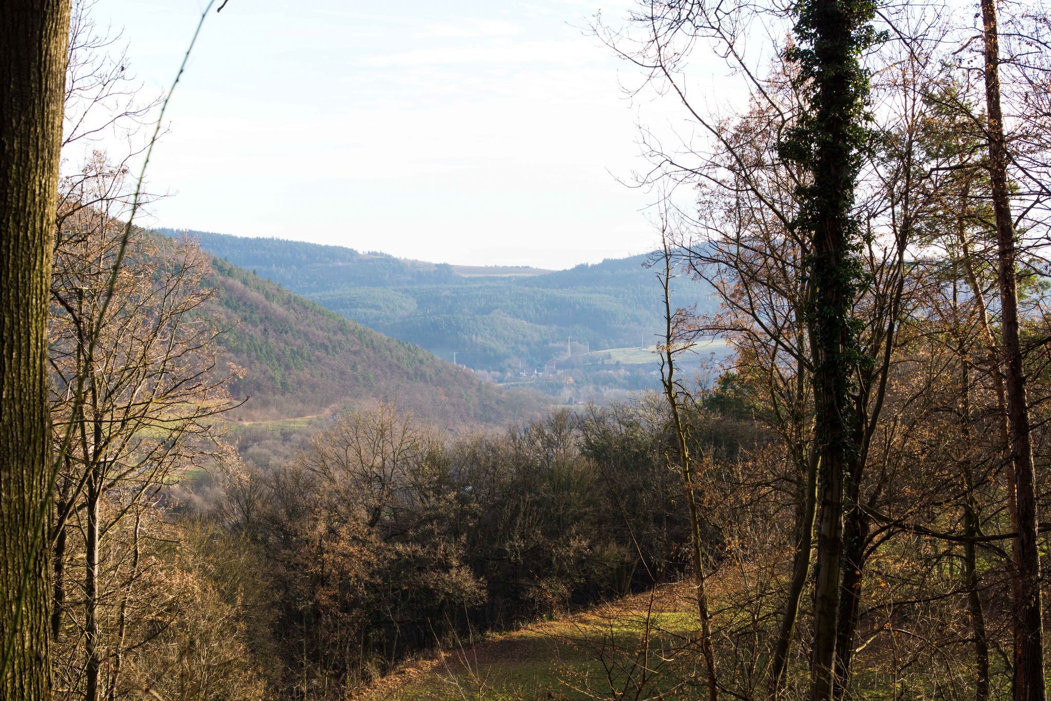 Fuchsturm, Germany