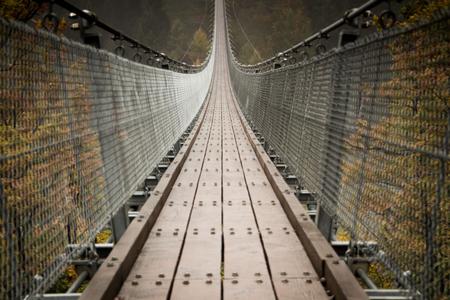 Germanys longest rope bridge Geierlay