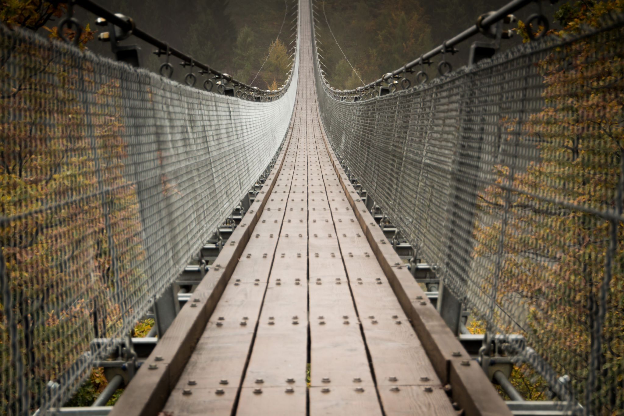 On the rope bridge, Germany