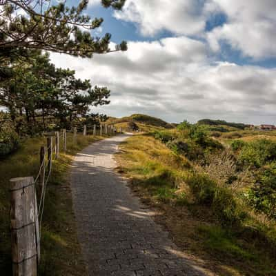 Path on Baltrum, Germany