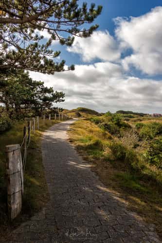 Path on Baltrum