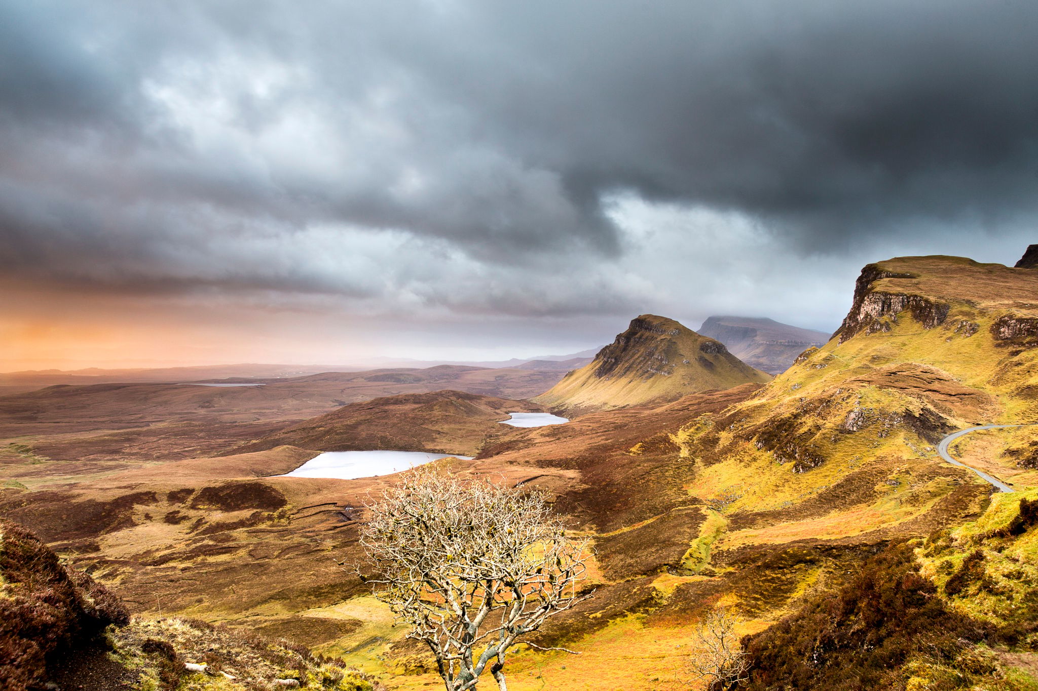 Lonely Tree at Quiraing, United Kingdom