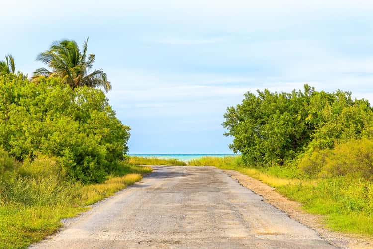 Road to the beach