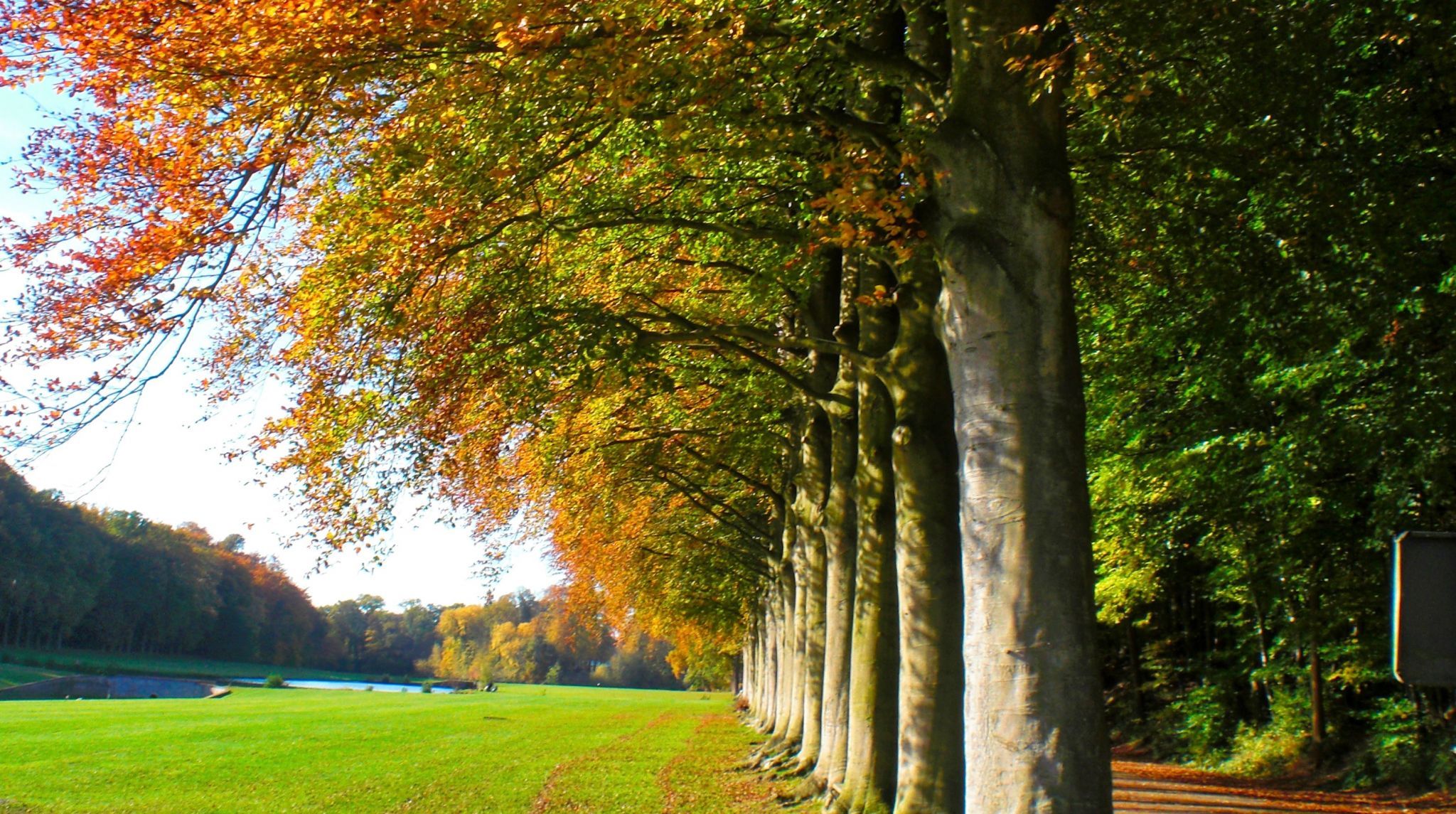 Tervuren park, Belgium