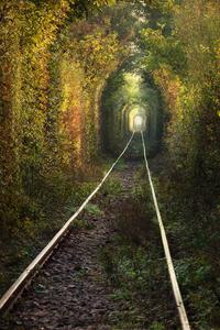 Tunnel Of Love, Obreja