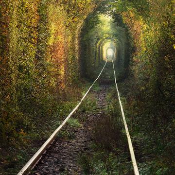 Tunnel Of Love, Obreja, Romania
