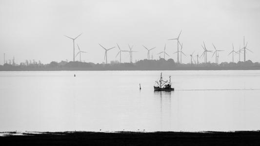 Wadden Sea, Langeoog