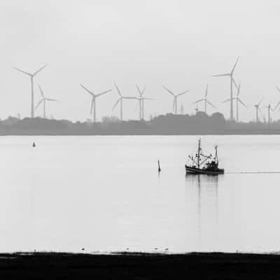 Wadden Sea, Langeoog, Germany