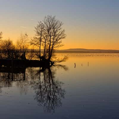 Winterabend am Steinhuder Meer, Germany