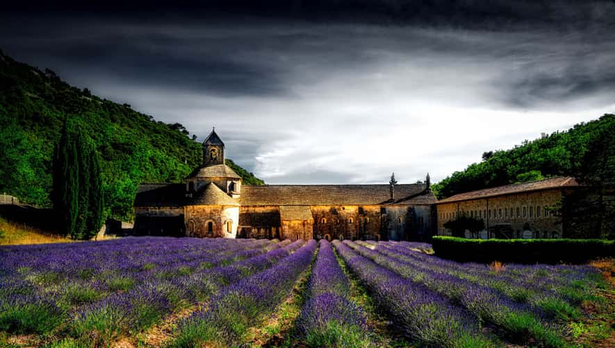 Lavender blossom at Notre-Dame de Sénanque