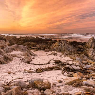 Asilomar Beach Rocks, USA