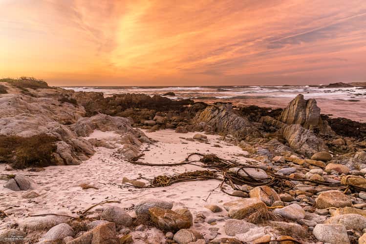 Asilomar Beach Rocks