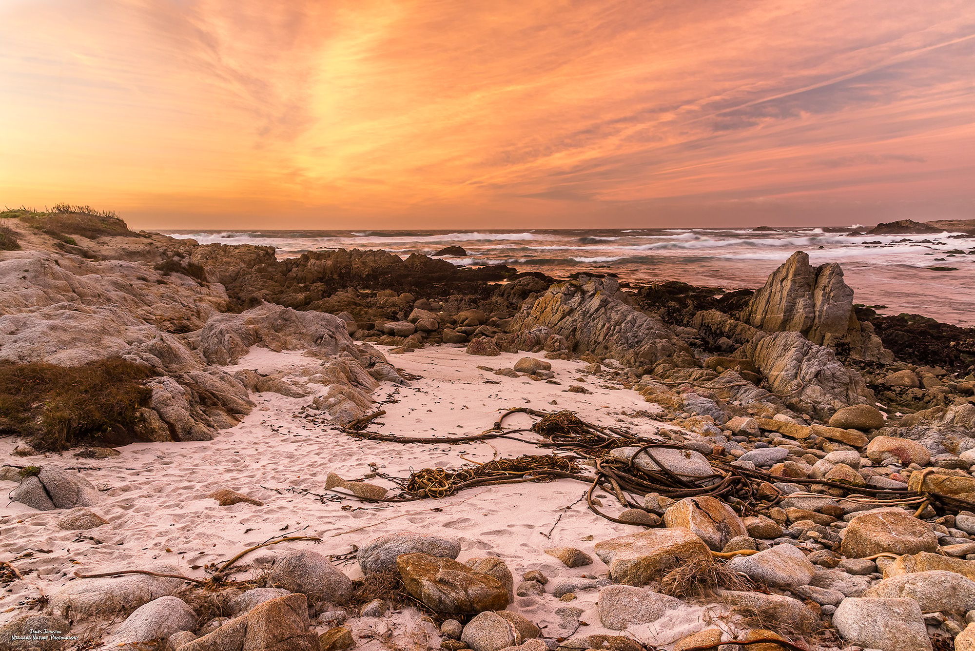 Asilomar Beach Rocks, USA