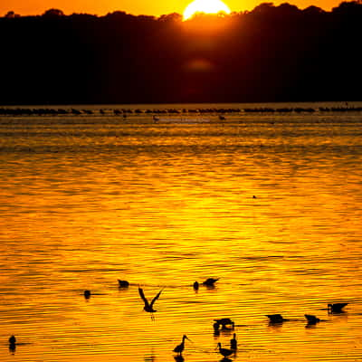 Atardecer en Doñana, Seville, Spain