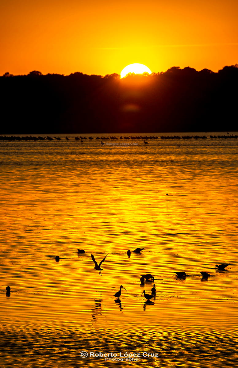 Atardecer en Doñana, Seville, Spain