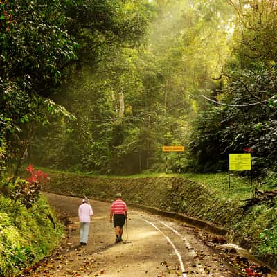 Bukit Larut (Maxwell Hill), Taiping, Malaysia, Malaysia