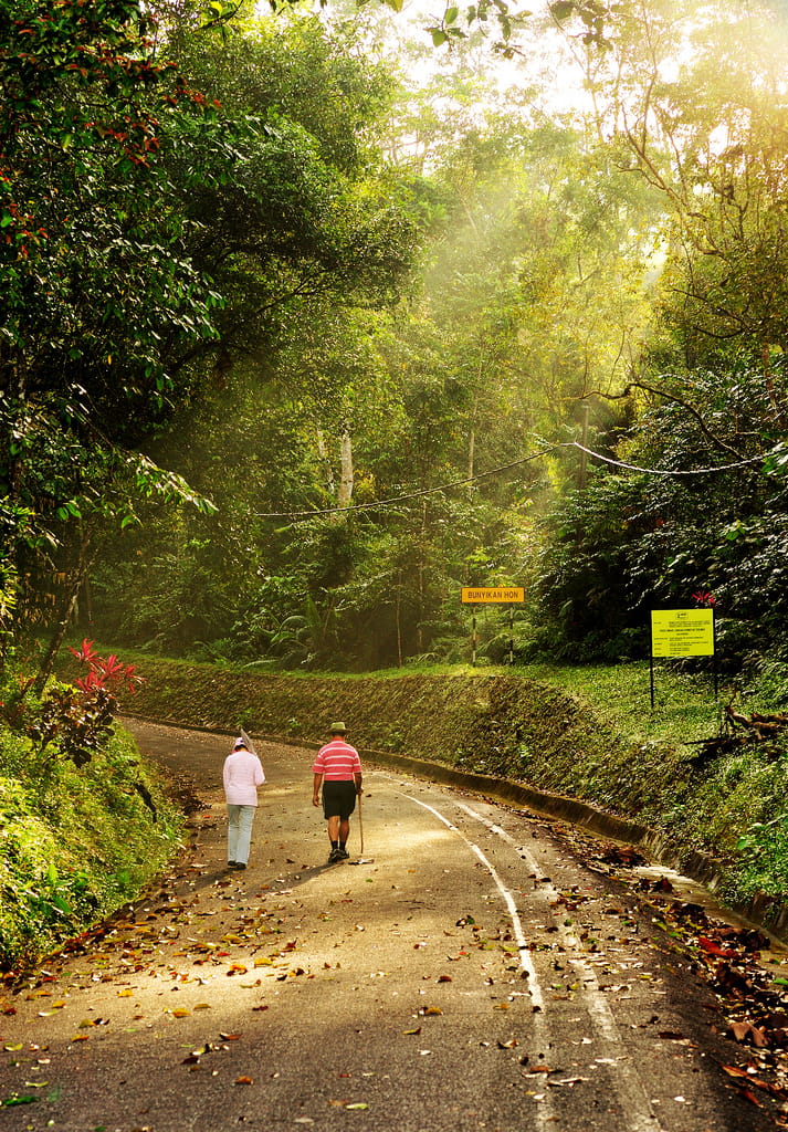 Bukit Larut (Maxwell Hill), Taiping, Malaysia, Malaysia